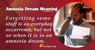 Amnesia Dream Meaning