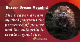 Beaver Dream Meaning