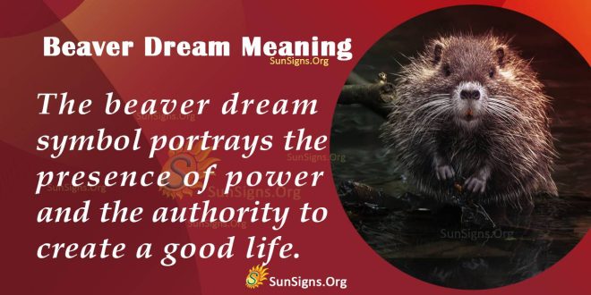 Beaver Dream Meaning