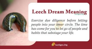 Leech Dream Meaning