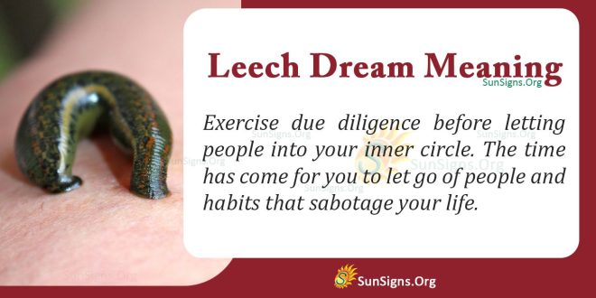 Leech Dream Meaning