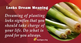 Leeks Dream Meaning
