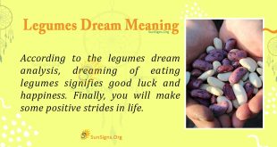 Legumes Dream Meaning