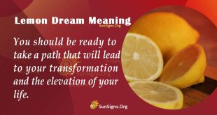 Lemon Dream Meaning