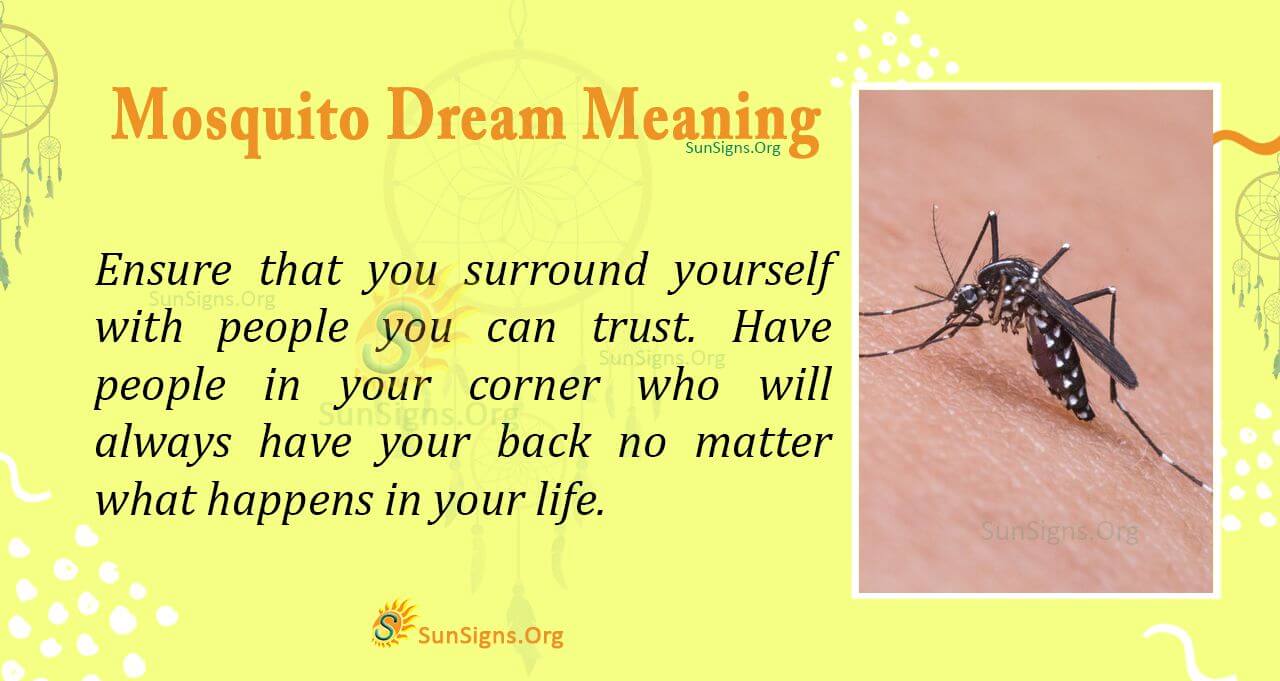 Hidden Meaning of Mosquito Dream Interpretation and Symbolism