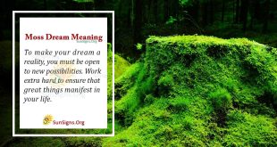 Moss Dream Meaning