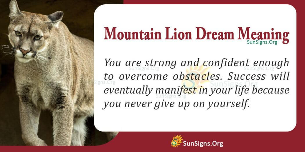 What Does A Mountain Lion Dream Mean? Interpretation And Symbolism