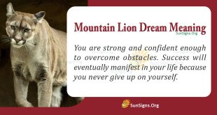 Mountain Lion Dream Meaning