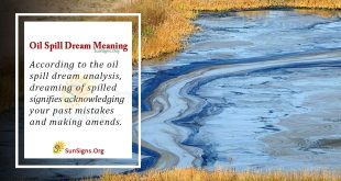 Oil Spill Dream Meaning