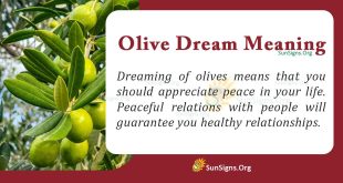 Olive Dream Meaning
