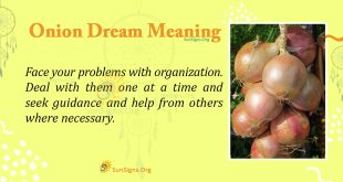 Onion Dream Meaning