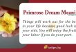 Primrose Dream Meaning