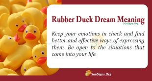 Rubber Duck Dream Meaning