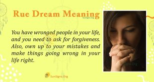 Rue Dream Meaning