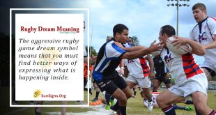 Rugby Dream Meaning