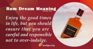 Rum Dream Meaning