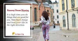 Runaway Dream Meaning