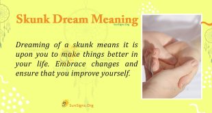 Skunk Dream Meaning