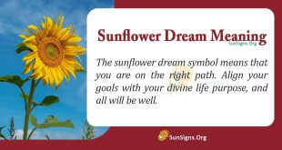 Sunflower Dream Meaning