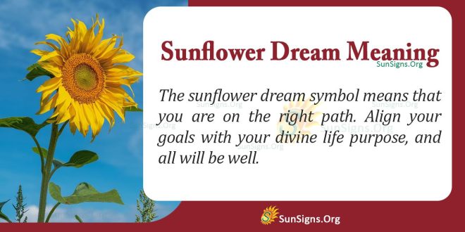 Sunflower Dream Meaning