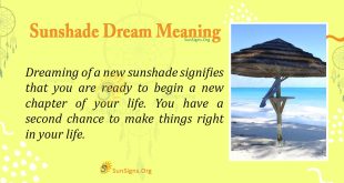 Sunshade Dream Meaning