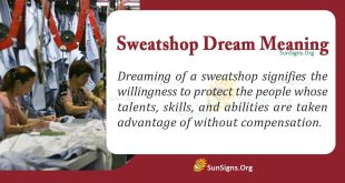 Sweatshop Dream Meaning