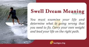 Swell Dream Meaning
