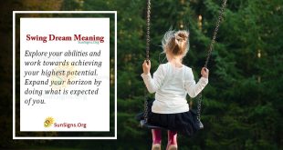 Swing Dream Meaning