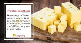 Swiss Cheese Dream Meaning
