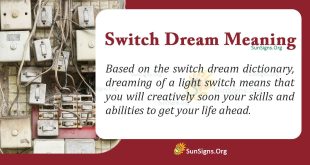 Switch Dream Meaning