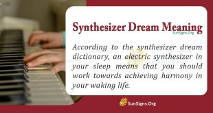 Synthesizer Dream Meaning