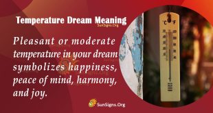 Temperature Dream Meaning