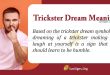 Trickster Dream Meaning