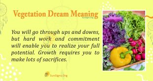 Vegetation Dream Meaning