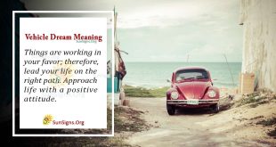 Vehicle Dream Meaning