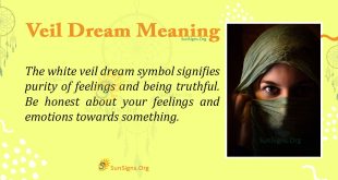 Veil Dream Meaning