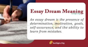 Essay Dream Meaning