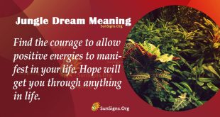 Jungle Dream Meaning