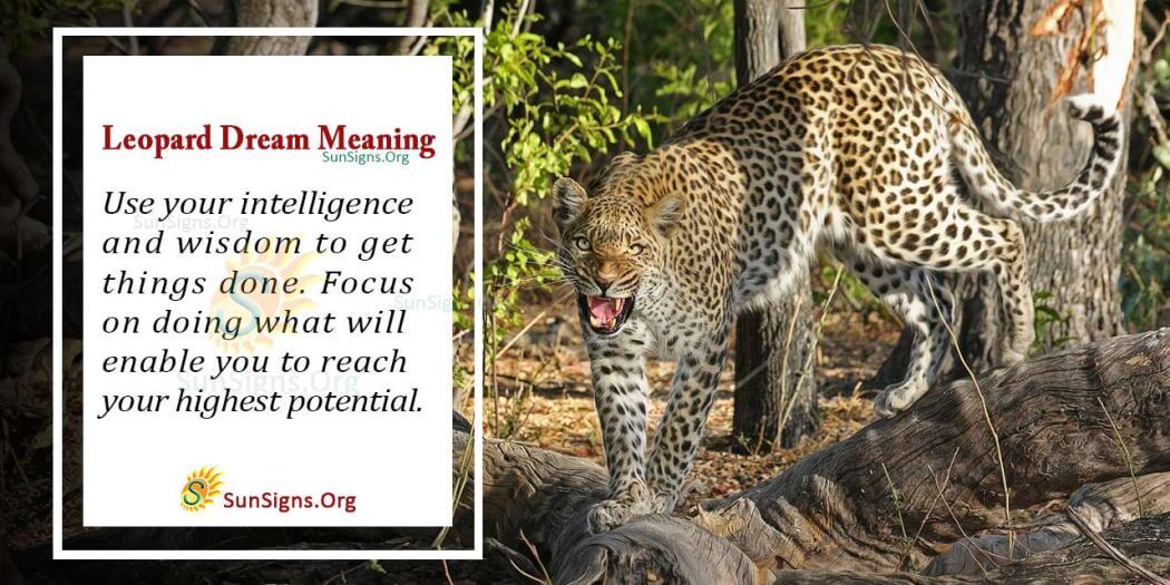 What Does a Leopard Dream Mean? Interpretation and Symbolism