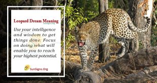 Leopard Dream Meaning