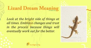 Lizard Dream Meaning