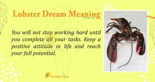 Lobster Dream Meaning