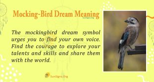 Mocking-Bird Dream Meaning