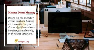 Monitor Dream Meaning