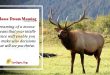 Moose Dream Meaning
