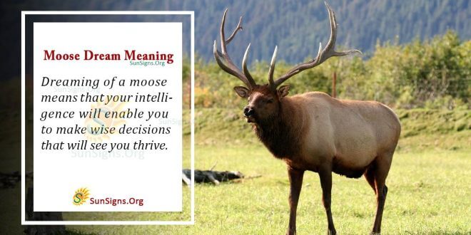 Moose Dream Meaning