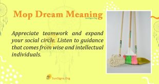 Mop Dream Meaning