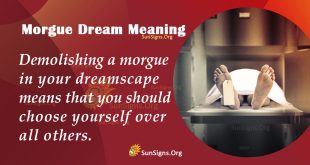 Morgue Dream Meaning