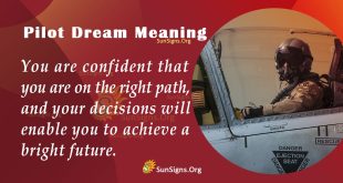 Pilot Dream Meaning
