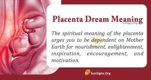 Placenta Dream Meaning